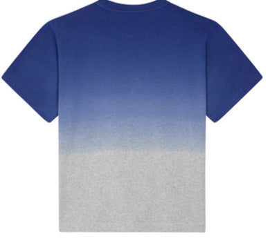 SVIRE T-Shirt Faded Blue